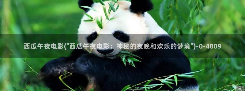 西瓜影院在线观看免费