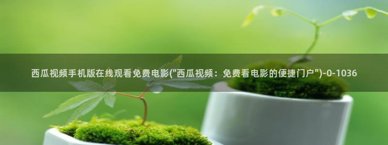 西瓜影视免费观看电视剧网