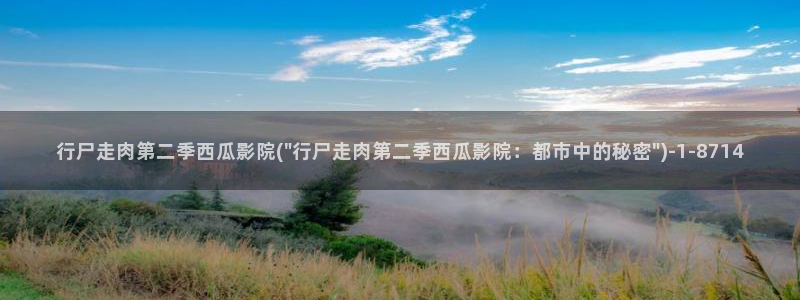 大秦赋免费观看西瓜影院