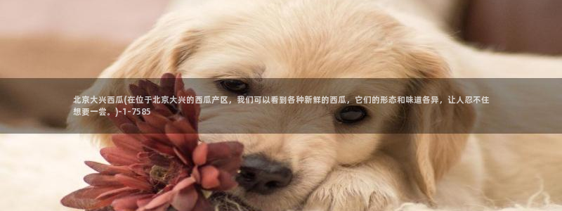 西瓜影院2021最新电影电视剧