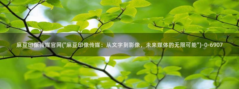 麻豆视频评分