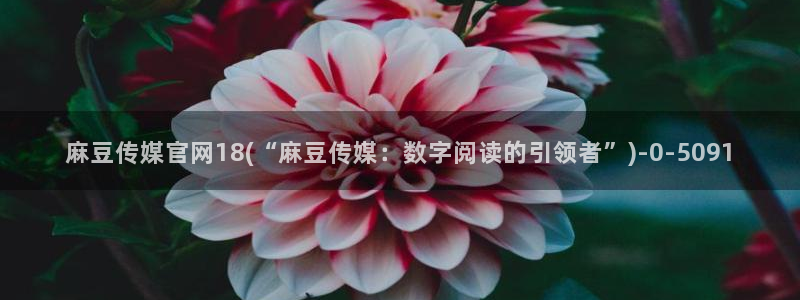 麻豆视频大全