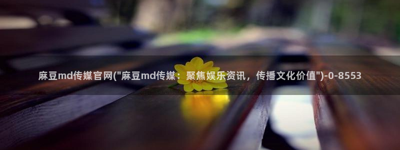 麻豆传媒视频