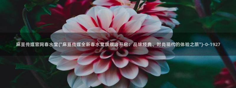 麻豆视频大全