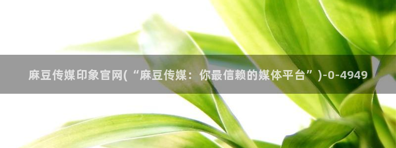 麻豆视频相关推荐