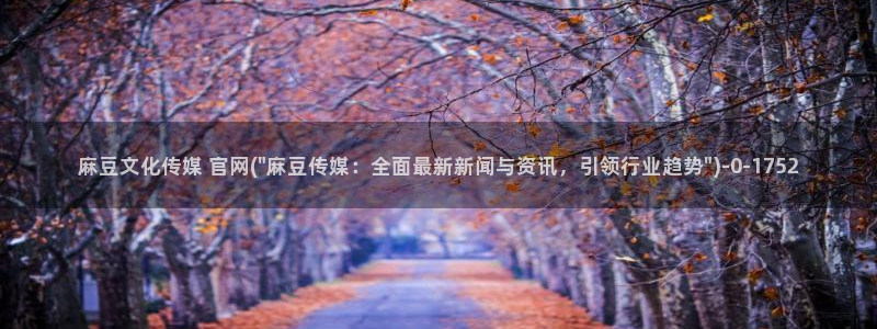 麻豆视频模板