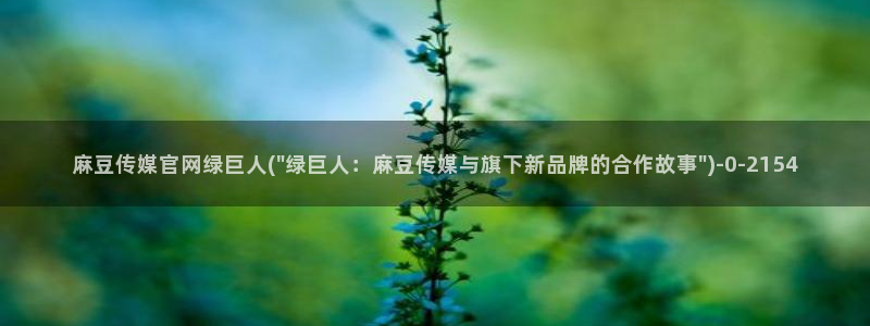 麻豆视频站关键词