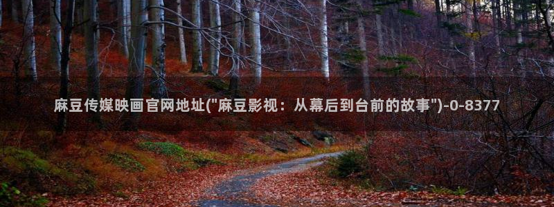 麻豆精选标题