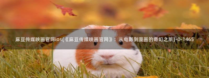 麻豆视频资料文案