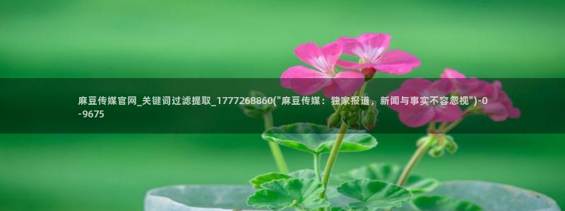 麻豆视频优质内容