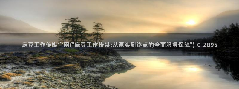 麻豆视频版权说明