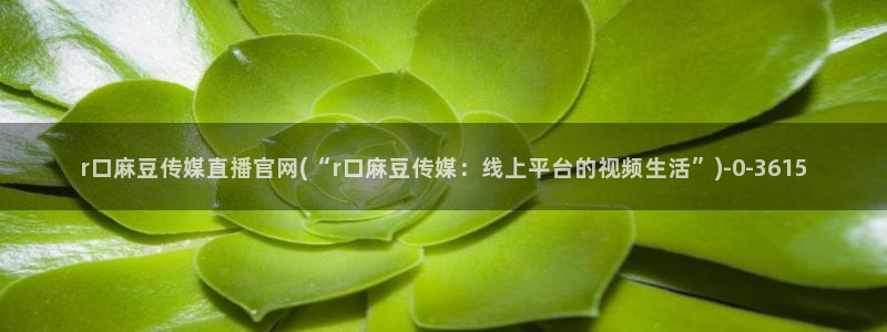 麻豆内容页