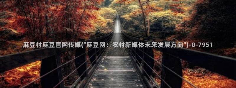麻豆视频榜单