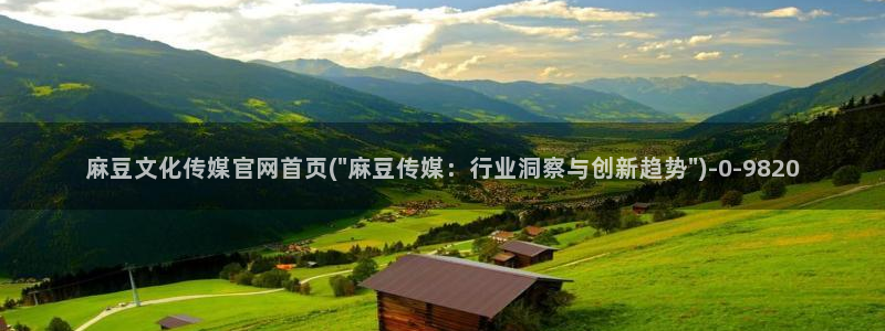 麻豆视频在线