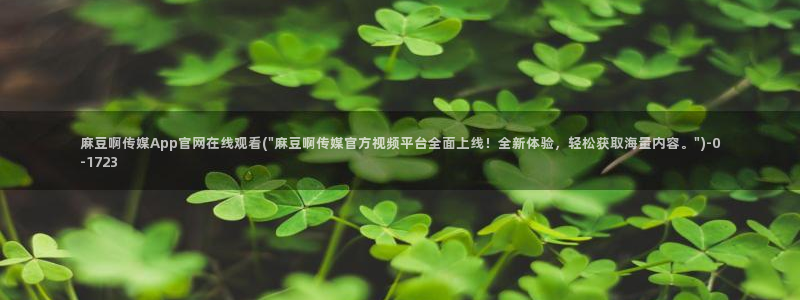 麻豆视频精准词