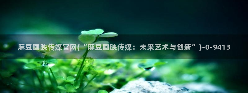 麻豆国产精选