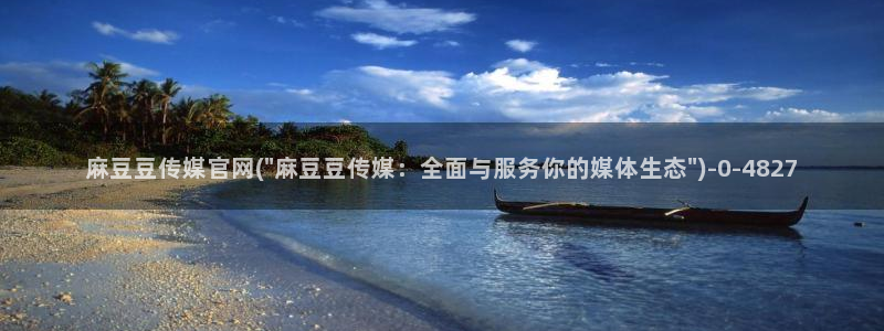 麻豆视频资料文案