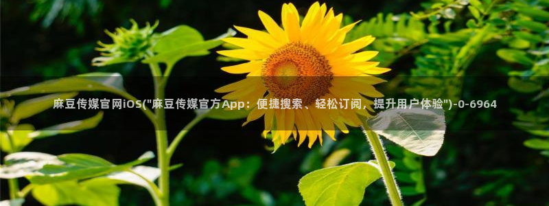 麻豆视频模板标签：麻豆传媒官网iOS(\