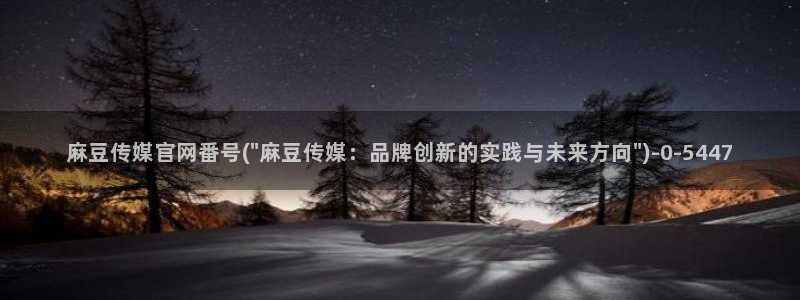 麻豆演员描述