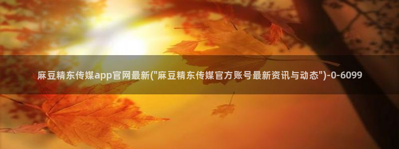 麻豆视频精准词