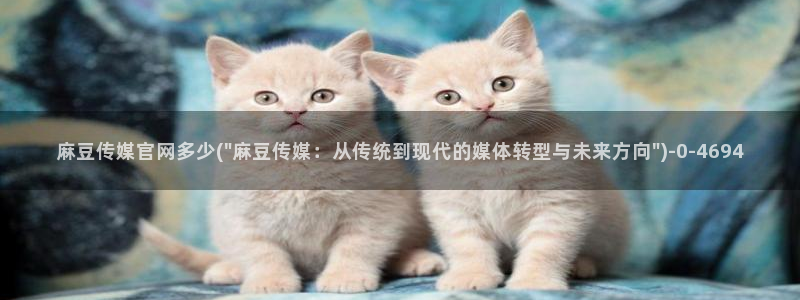 麻豆视频百度优化：麻豆传媒官网多少(\