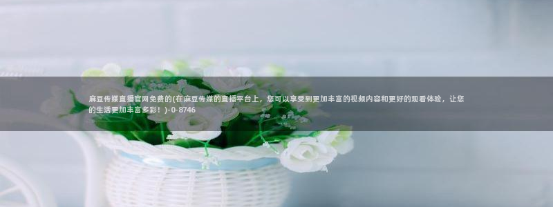 麻豆视频分类规则