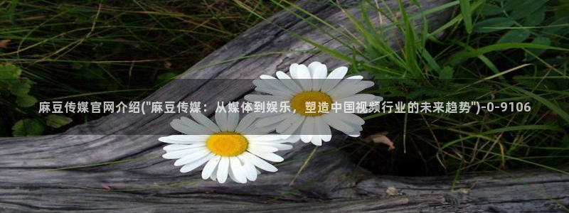 麻豆拍摄花絮