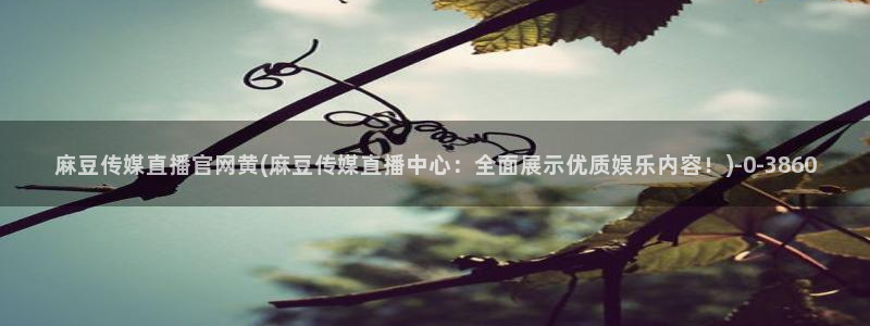 麻豆视频详情文案
