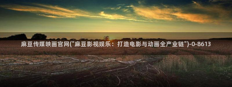 麻豆视频采集