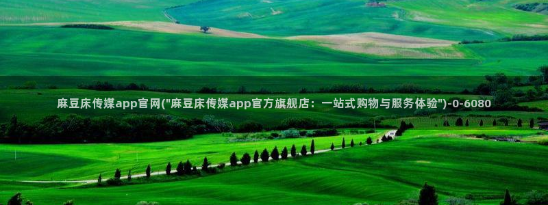 麻豆影视站