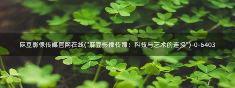 麻豆国产精选