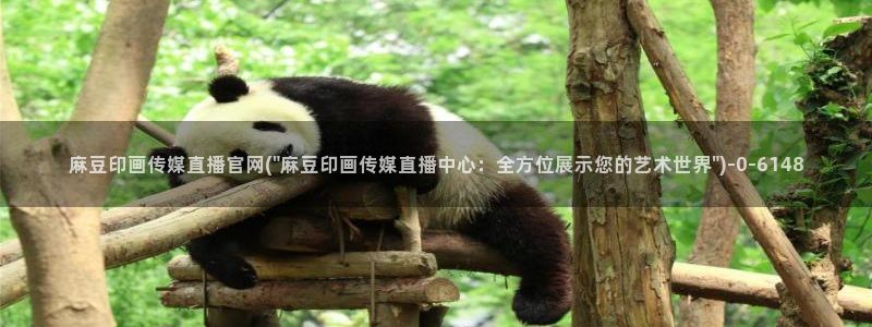 麻豆视频关键词