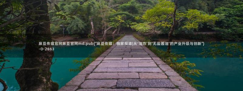 麻豆专题描述